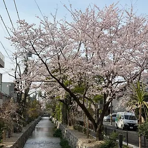 初音 Alloggio in famiglia